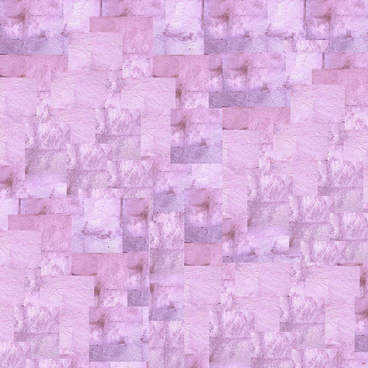 Image Only