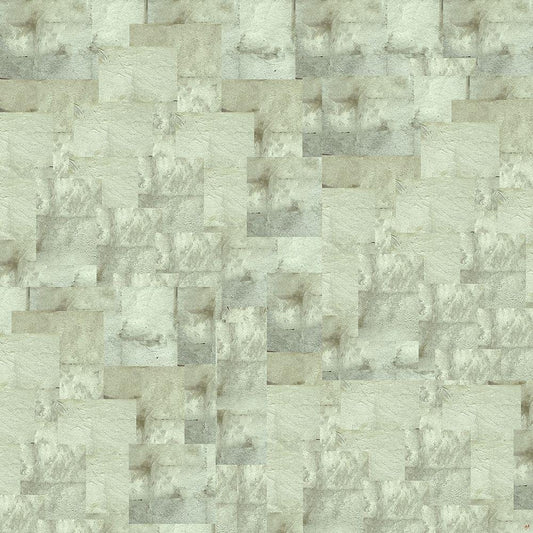 Image Only