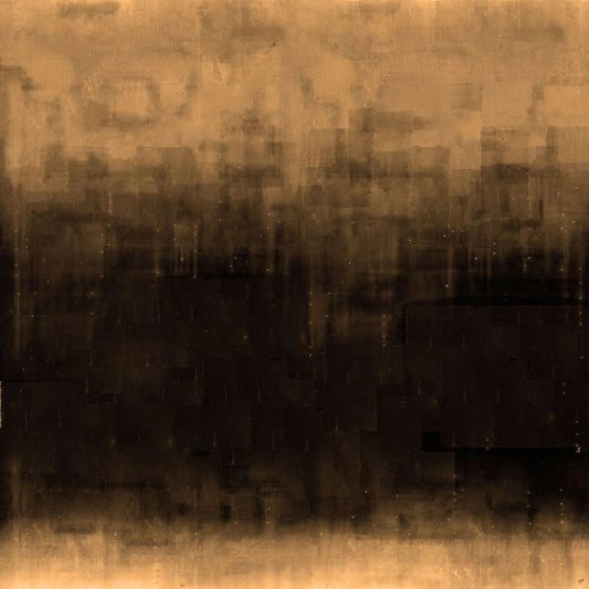 Image Only