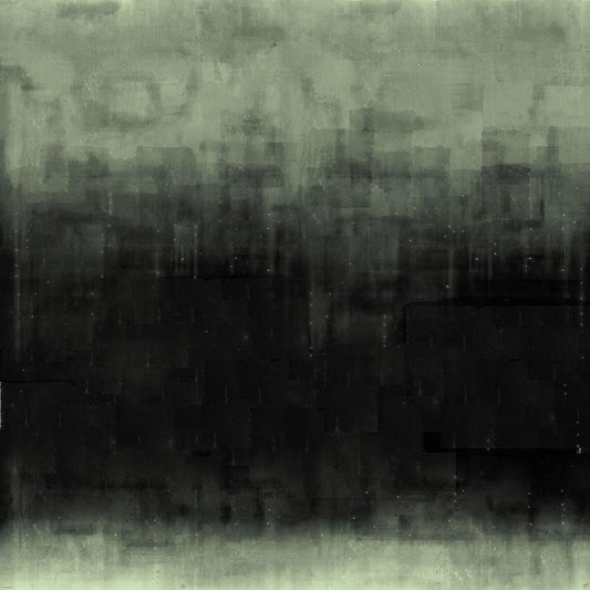Image Only