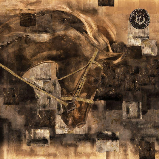 Image Only