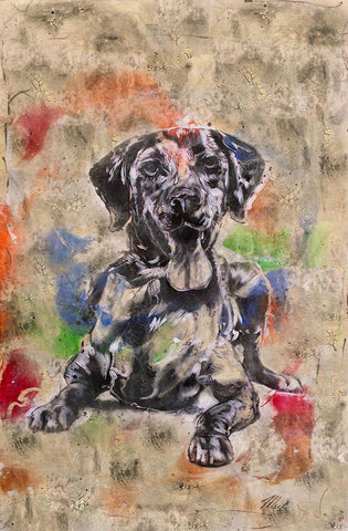 Colorful Dog II Black Ornate Wood Framed Art Print with Double Matting by Wiley, Marta