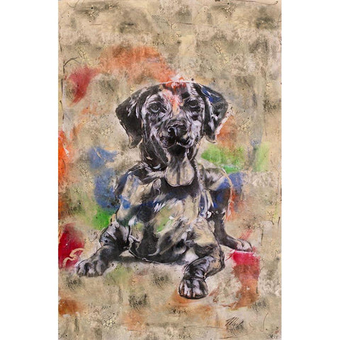 Colorful Dog II Black Modern Wood Framed Art Print with Double Matting by Wiley, Marta