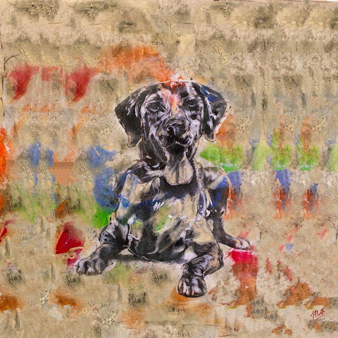 Colorful Dog IV Square Black Ornate Wood Framed Art Print with Double Matting by Wiley, Marta