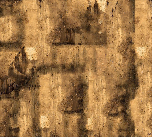 Image Only