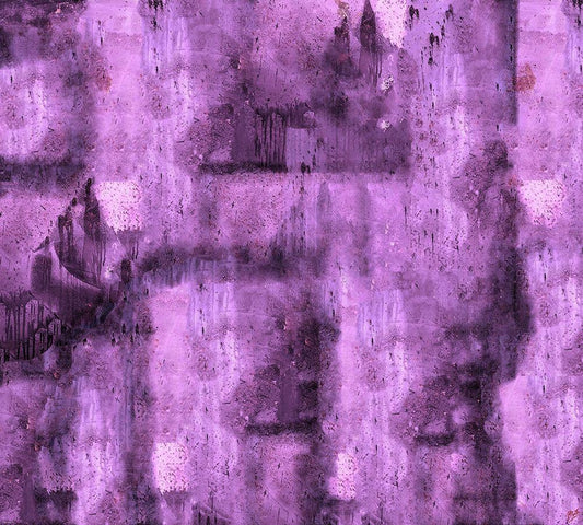 Image Only