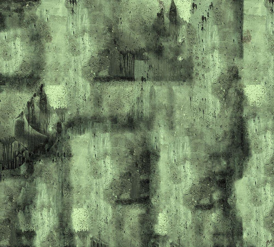 Image Only