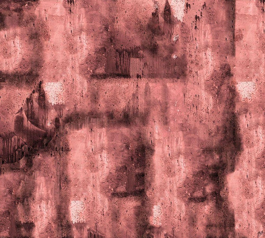 Image Only
