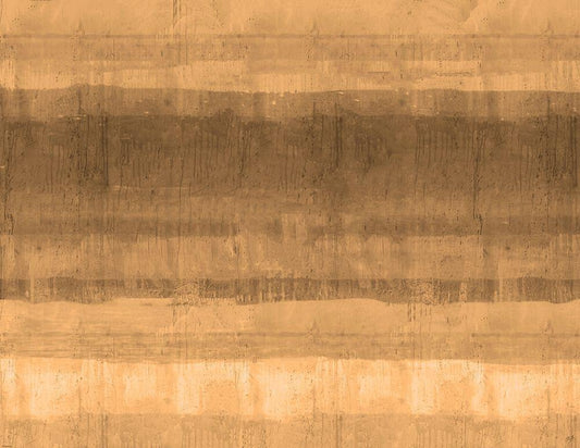 Image Only