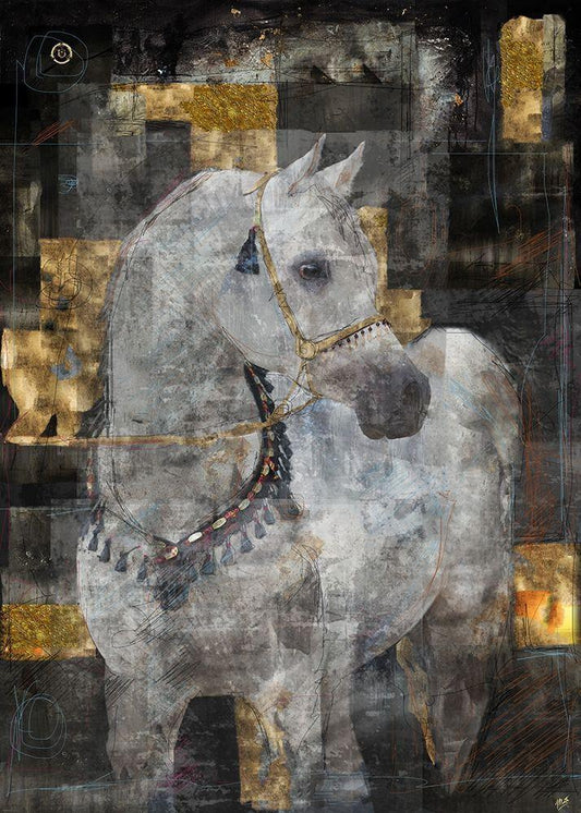 Image Only