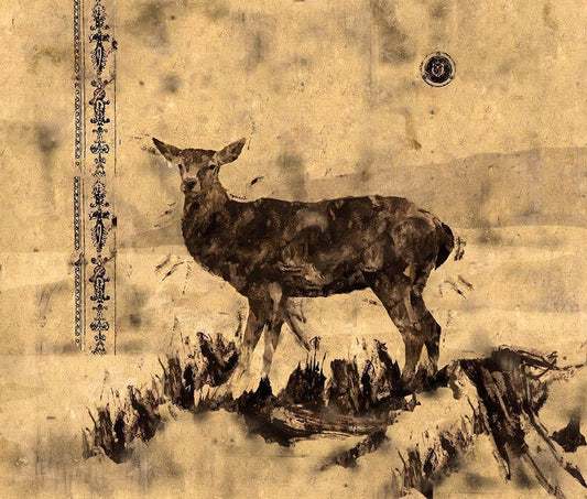 Image Only