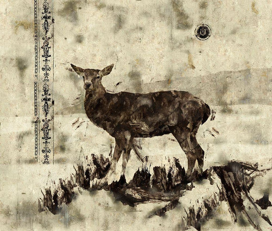 Image Only