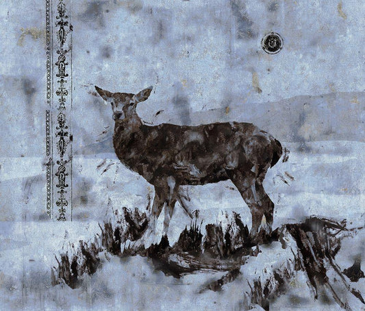 Image Only