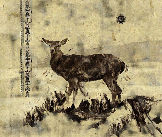 Image Only
