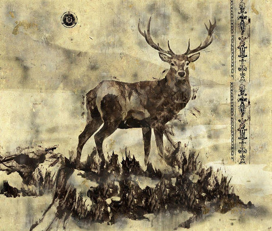 Image Only