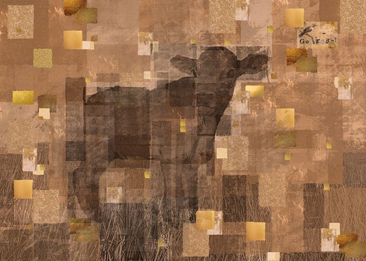 Image Only
