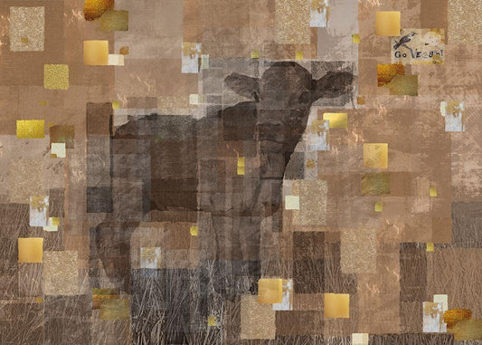 Image Only