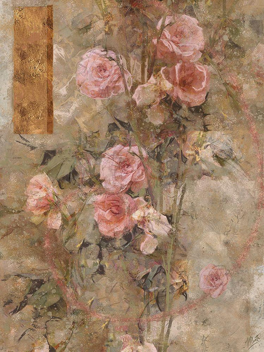 Image Only