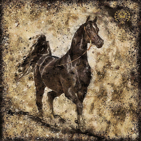 Black Arabian I Black Modern Wood Framed Art Print with Double Matting by Wiley, Marta