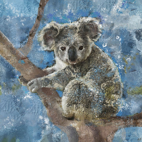 Koala I White Modern Wood Framed Art Print with Double Matting by Wiley, Marta