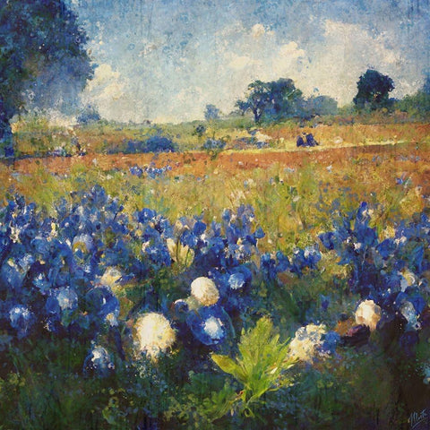 Texas-Bluebonnets II Black Modern Wood Framed Art Print with Double Matting by Wiley, Marta