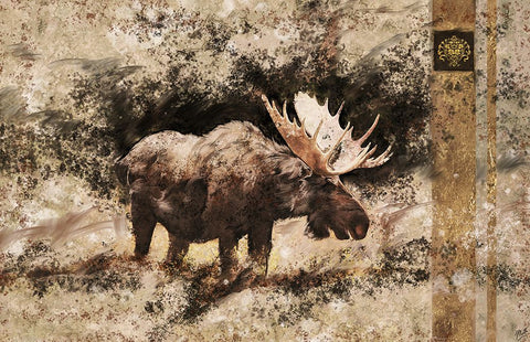 Moose I White Modern Wood Framed Art Print with Double Matting by Wiley, Marta