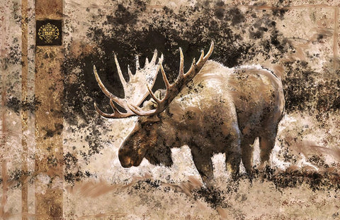 Moose II White Modern Wood Framed Art Print with Double Matting by Wiley, Marta