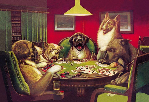 Poker Dogs: Stun, Shock and the Win, 1903 White Modern Wood Framed Art Print with Double Matting by Coolidge, C.M.