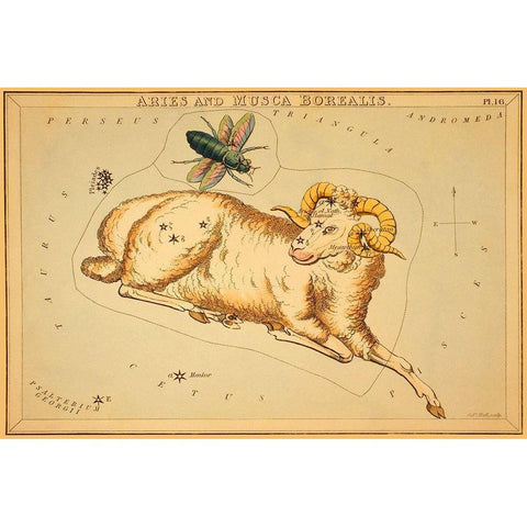 Aries and Musca Borealis, 1825 White Modern Wood Framed Art Print by Aspin, Jehoshaphat