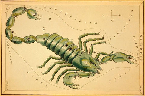 Scorpio, 1825 Black Ornate Wood Framed Art Print with Double Matting by Aspin, Jehoshaphat