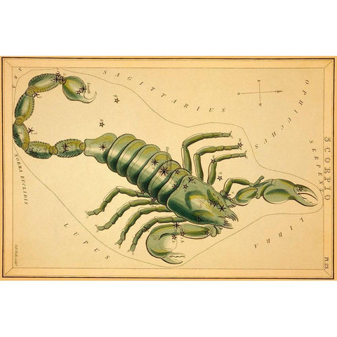 Scorpio, 1825 Black Modern Wood Framed Art Print with Double Matting by Aspin, Jehoshaphat