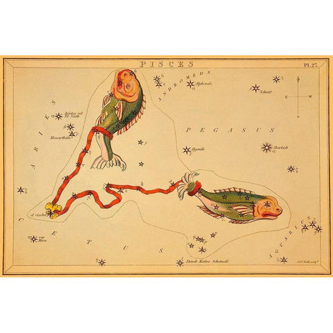 Pisces, 1825 White Modern Wood Framed Art Print by Aspin, Jehoshaphat