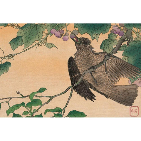 Bird Eating a Grape Black Modern Wood Framed Art Print by Kesai, Kuwagata