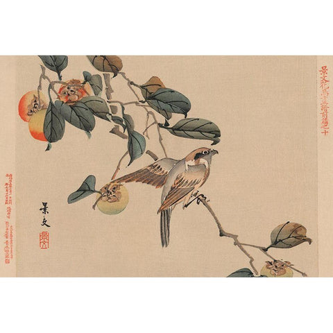 Bird perched on a branch from a fruit persimmon tree., 1892 White Modern Wood Framed Art Print by Matsumura, Keibun