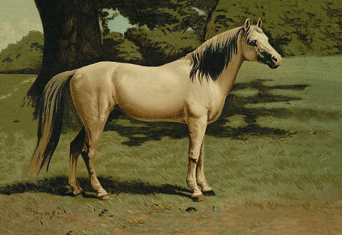 General Grants Charger, 1900 Black Ornate Wood Framed Art Print with Double Matting by Sidney, Samuel