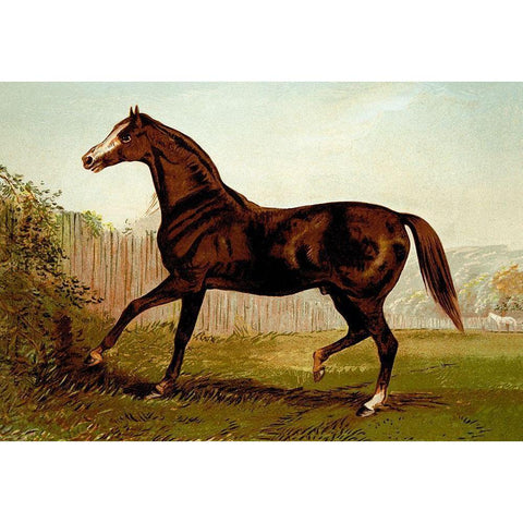 Blair Athol, 1900 Gold Ornate Wood Framed Art Print with Double Matting by Sidney, Samuel