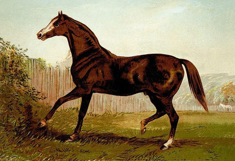 Blair Athol, 1900 Black Ornate Wood Framed Art Print with Double Matting by Sidney, Samuel