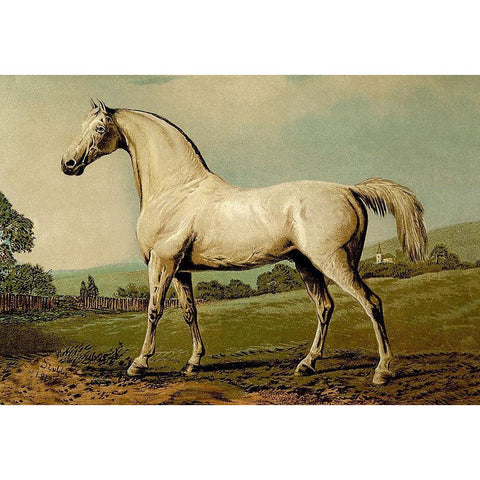 Mambrino, 1900 Gold Ornate Wood Framed Art Print with Double Matting by Sidney, Samuel