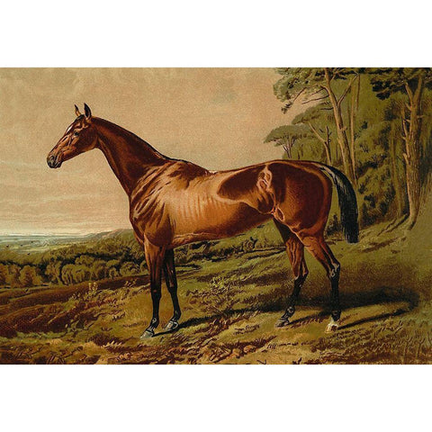 Fair Nell, 1900 Gold Ornate Wood Framed Art Print with Double Matting by Sidney, Samuel