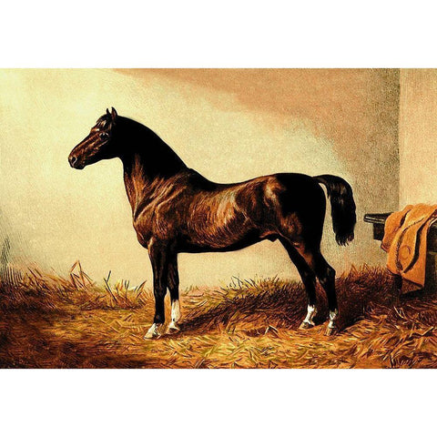 Don Carlos, 1900 Gold Ornate Wood Framed Art Print with Double Matting by Sidney, Samuel