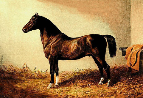 Don Carlos, 1900 Black Ornate Wood Framed Art Print with Double Matting by Sidney, Samuel