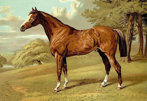 Stilton - A Hunter, 1900 Black Ornate Wood Framed Art Print with Double Matting by Sidney, Samuel