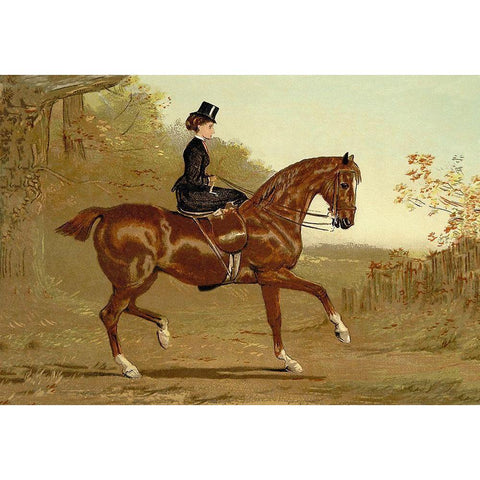 Book of the Horse, 1900 White Modern Wood Framed Art Print by Sidney, Samuel