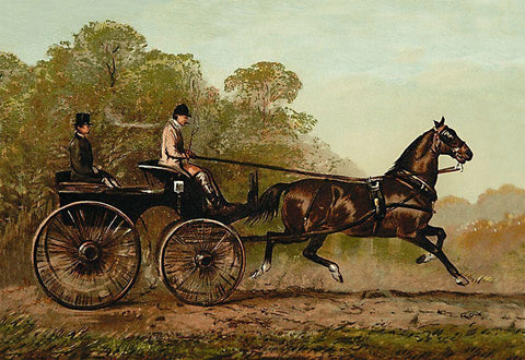 Columbine, 1900 Black Ornate Wood Framed Art Print with Double Matting by Sidney, Samuel