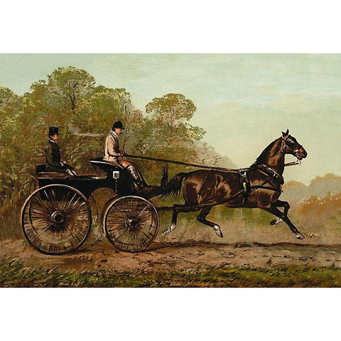 Columbine, 1900 Black Modern Wood Framed Art Print by Sidney, Samuel