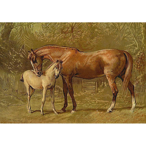 Thoroughbred Mare and Foal, 1900 Black Modern Wood Framed Art Print with Double Matting by Sidney, Samuel