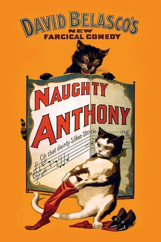 Naughty Anthony, 1899 White Modern Wood Framed Art Print with Double Matting by Strobridge