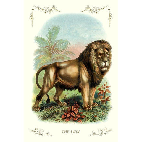 The Lion, 1900 Black Modern Wood Framed Art Print by Unknown