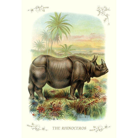 The Rhinoceros, 1900 White Modern Wood Framed Art Print by Unknown