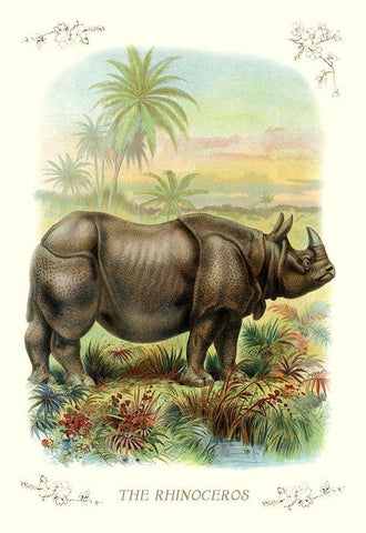 The Rhinoceros, 1900 White Modern Wood Framed Art Print with Double Matting by Unknown